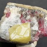 Rhodizite, RubellitePegmatita Antandrokomby, Valle Manandona, Valle Sahatany (Mt. Ibity), Distrito Antsirabe II, Región Vakinankaratra, Madagascar3 x 3 cm (Author: Volkmar Stingl)