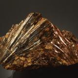 Astrophyllite<br />St Peters Dome, Cheyenne District, El Paso County, Colorado, USA<br />8.2 x 5.8 cm<br /> (Author: Michael Shaw)