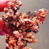 Copper<br />Bou Nahas Mine, Oumjrane mining area, Alnif Commune, Tinghir Province, Drâa-Tafilalet Region, Morocco<br />5cmx5cm<br /> (Author: Enrique Llorens)