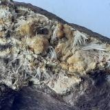 Aragonite, Magnesite<br />Mühlbachgraben, Fieberbrunn, Kitzbühel District, North Tyrol, Tyrol/Tirol, Austria<br />FoV ca. 3 x 2 cm<br /> (Author: Volkmar Stingl)