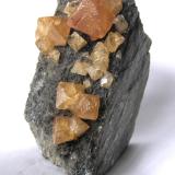 Scheelite, muscoviteMonte Xuebaoding, Pingwu, Prefectura Mianyang, Provincia Sichuan, ChinaSpecimen size 9,5 x 6 x 5 cm, largest crystal 2 cm (Author: Tobi)