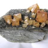 Scheelite, muscoviteMonte Xuebaoding, Pingwu, Prefectura Mianyang, Provincia Sichuan, ChinaSpecimen size 9,5 x 6 x 5 cm, largest crystal 2 cm (Author: Tobi)