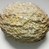 BaritaMorón de la Frontera, Comarca Campiña de Morón y Marchena, Seville, Andalusia, SpainDiámetro vertical 8 cm. (Autor: cantero II)