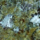 RhodesiteStradner Kogel, Wilhelmsdorf, Gleichenberger, Bad Gleichenberg, Südoststeiermark, Estiria/Steiermark, Austria1,7 x 1,3 cm (Author: Volkmar Stingl)