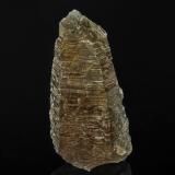 Quartz (variety smoky quartz)<br />Mica Hill, Torrington mining district, Clive County, New South Wales, Australia<br />9.0 x 4.7 cm<br /> (Author: am mizunaka)