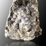 Escolecita<br />Cantera Soriana, El Prat, Soriana, Estopiñán del Castillo, Comarca La Ribagorza, Huesca, Aragón, España<br />7,5cm x 9cm x 4,5cm<br /> (Autor: Pere Alonso)