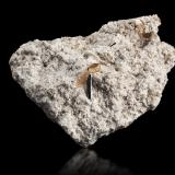 Pseudobrookita con TopacioMonte Topaz, Cordillera Thomas, Condado Juab, Utah, USA8 x 6 x 4 cm / cristal principal: 1.4 cm (Autor: Museo MIM)