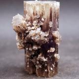 AragonitoLa Pesquera, Comarca La Manchuela Conquense, Cuenca, Castilla-La Mancha, España5.5 x 3 cm (Autor: Pedro Antonio)