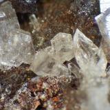 CaracolitaMina San Francisco (Mina Beatrix), Caracoles, Distrito Sierra Gorda, Provincia Tocopilla, Región Antofagasta, ChileCampo de visión 4 mm. (Autor: Antonio P. López)