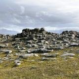 Parte superior de las disyunciones columnares de basalto muy erosionadas y redondeadas por el agua y el hielo, en las proximidades del cañón Jökulsárgljúfur. (Autor: Antonio P. López)