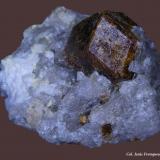 Andradita (variedad topazolita)<br />Distrito Ambanja, Provincia Antsiranana, Madagascar<br />45x40 mm. Cristal .20x15 mm.<br /> (Autor: Jesus Franquesa Baucells)