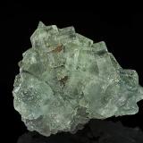 Fluorite<br />Mt Cleveland Mine, Luina, Heazlewood District, Waratah-Wynyard Council, Tasmania, Australia<br />9.9 x 7.7 cm<br /> (Author: am mizunaka)