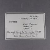 _Etiqueta CupritaWheal Phoenix, Phoenix United Mine, Minions, Linkinhorne, Liskeard District, Cornwall, England / United Kingdom5,6 x 4,5 x 3,2 cm. (Autor: J. G. Alcolea)
