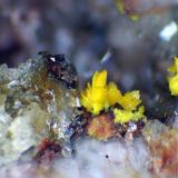 BergenitaCantera Streuberg, Distrito minero Zobes y Bergen, Vogtlandkreis, Sajonia/Sachsen, AlemaniaCristales de hasta 2 mm. (Autor: Antonio P. López)
