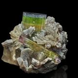Elbaite, Polylithionite-Trilithionite (Series), Albite, Quartz (variety smoky quartz)<br />Paprok, Kamdesh District, Nuristan Province, Afghanistan<br />9.8 x 7.8 cm<br /> (Author: am mizunaka)