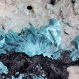 Tyrolite, Romanechite, Dolomite<br />Ringenwechsel Mining District, Troi, District Schwaz, Inn Valley, North Tyrol, Tyrol/Tirol, Austria<br />FoV. ca. 1,5 x 1 cm<br /> (Author: Volkmar Stingl)