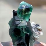Fluorite, Schorl<br />Erongo Mountain, Usakos, Erongo Region, Namibia<br />41 mm x 36 mm. Largest crystal: 16 mm<br /> (Author: Carles Millan)