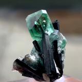 Fluorite, Schorl<br />Erongo Mountain, Usakos, Erongo Region, Namibia<br />41 mm x 36 mm. Largest crystal: 16 mm<br /> (Author: Carles Millan)