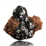 Cronstedtita con Siderita y Dolomita<br />Mina Herja, Chiuzbaia, Baia Sprie, Maramures, Rumanía<br />4.5 x 3.5 x 4 cm / Cristal principal: 0.5 cm<br /> (Autor: Museo MIM)