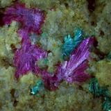 Erythrite, Tirolite<br />Stocker adit, Silberberg mining district, Reith im Alpbachtal, Kufstein District, Inn Valley, North Tyrol, Tyrol/Tirol, Austria<br />2,5 x 2 cm<br /> (Author: Volkmar Stingl)