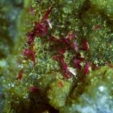 Erythrite, Quartz, Calcite<br />Stocker adit, Silberberg mining district, Reith im Alpbachtal, Kufstein District, Inn Valley, North Tyrol, Tyrol/Tirol, Austria<br />5,5 x 4 cm<br /> (Author: Volkmar Stingl)