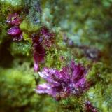 Erythrite<br />Stocker adit, Silberberg mining district, Reith im Alpbachtal, Kufstein District, Inn Valley, North Tyrol, Tyrol/Tirol, Austria<br />5,5 x 4 cm<br /> (Author: Volkmar Stingl)