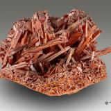 Crocoita<br />Mina Red Lead, Campo minero Dundas, Distrito Zeehan, Consejo Costa Oeste, Tasmania, Australia<br />10,5cm x 8,5cm x 9,5cm<br /> (Autor: Pere Alonso)
