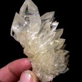 Calcite<br />Winterberg Quarry, Iberg, Bad Grund, Göttingen District, Harz, Lower Saxony/Niedersachsen, Germany<br />Specimen size 8 cm, largest crystal 2,5 cm<br /> (Author: Tobi)
