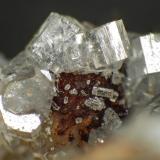 CaracolitaMina San Francisco (Mina Beatrix), Caracoles, Distrito Sierra Gorda, Provincia Tocopilla, Región Antofagasta, ChileCampo de visión 6 mm. (Autor: Antonio P. López)