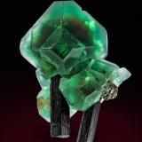 Fluorite, Schorl<br />Erongo Mountain, Usakos, Erongo Region, Namibia<br />Specimen height 3,5 cm<br /> (Author: Tobi)