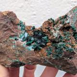 Malaquita, Cuarzo<br />Mina Bleida, Tinzouline, Provincia Zagora, Región Drâa-Tafilalet, Marruecos<br />11,0 x 7,0 x 4,3 cm<br /> (Autor: carles)