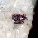 Rutilo<br />Canteras de Mármol, Macael, Comarca Valle del Almanzora, Almería, Andalucía, España<br />Cristal de 3 mm.<br /> (Autor: Antonio P. López)