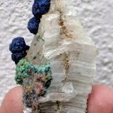 Azurita, Malaquita, Yeso<br />Lizaste, Aouli, distrito minero Mibladen, Mibladen, Midelt, Provincia Midelt, Región Drâa-Tafilalet, Marruecos<br />5,0 x 3,2 x 2,0 cm<br /> (Autor: carles)