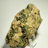 Epidota, Grosularia<br />Minas Costabona, Prats-de-Mollo-la-Preste, Haut Vallespir, Céret, Departamento Pirineos Orientales, Occitanie, Francia<br />105 mm x 70 mm. Cristal mayor: 17 mm. Masa: 360 g.<br /> (Autor: Carles Millan)