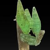 Beryl (variety aquamarine), Quartz (variety smoky quartz)<br />Manakana pegmatite, Manakana, Manakana Commune, Tsaratanàna District, Betsiboka Region, Madagascar<br />8.4 x 3.2 cm<br /> (Author: am mizunaka)