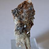 Boulangerite, Siderite<br />Bottino Mine, Sant'Anna (Sant'Anna di Stazzema), Apuan Alps, Stazzema Municipality, Lucca Province, Tuscany, Italy<br />3.5 x 1.5 cm<br /> (Author: Volkmar Stingl)