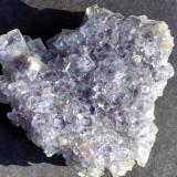 Fluorite, Quartz<br />Taolin Mine, Linxiang, Yueyang Prefecture, Hunan Province, China<br />7,5 x 7 cm<br /> (Author: Volkmar Stingl)