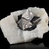 Gersdorffite on Calcite<br />Aït Ahmane, Agdz, Bou Azzer mining district, Zagora Province, Drâa-Tafilalet Region, Morocco<br />8 x 7 x 3 cm / main crystal: 2 cm<br /> (Author: MIM Museum)