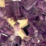 Fluorita<br />Filón Josefa-Veneros, nivel 75, Coroña de Arriba-La Collada, zona minera de La Collada, Siero, Comarca Oviedo, Principado de Asturias (Asturias), España<br /><br /> (Autor: castrominerals)