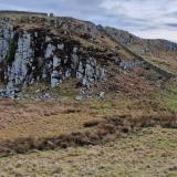Dolerite<br />Northumberland, England / United Kingdom<br />NA<br /> (Author: Forrestblyth)