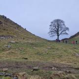 NA<br />Northumberland, England / United Kingdom<br /><br /> (Author: Forrestblyth)