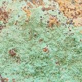 Pyromorphite<br />Barrow Mine, Braithwaite District, North Pennines Orefield, former Cumberland, Cumbria, England / United Kingdom<br />10 cm<br /> (Author: Forrestblyth)
