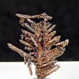 PlataBatopilas, Distrito Andrés del Río, Municipio Batopilas, Chihuahua, México1,5 x 1 cm. (Autor: Felipe Abolafia)