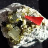 Prehnite, Epidote, Fluorite<br />Quarries on gneiss, Arvigo, Calanca Valley, Mesolcina Valley, Grischun (Grisons; Graubünden), Switzerland<br />2,5 x 2 cm<br /> (Author: Volkmar Stingl)
