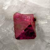 Espinela en Calcita<br />Oak-saung-taung, Valle Mogok, Mogok, Distrito Pyin-Oo-Lwin, Región Mandalay (Division Mandalay), Myanmar (Burma)<br />0.8 × 0.6 cm<br /> (Autor: Jordi Fabre)