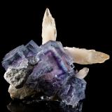 Fluorite, Calcite<br />Minerva I Mine, Rosiclare formation, Ozark-Mahoning group, Cave-in-Rock Sub-District, Hardin County, Illinois, USA<br />6 x 7 x 8 cm / main crystal: 5.1 cm<br /> (Author: MIM Museum)