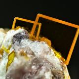 Wulfenita<br />Mina Rowley, Theba, Distrito Painted Rock, Montes Painted Rock, Condado Maricopa, Arizona, USA<br />10 mm<br /> (Autor: Borja Sainz de Baranda)