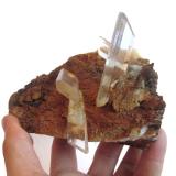 Gypsum<br />Niccioleta Mine, Massa Marittima, Grosseto Province, Tuscany, Italy<br />Specimen size 13 x 8 cm, largest crystal 7 cm<br /> (Author: Tobi)