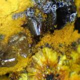 Chervetita, CurienitaMina Mounana, Franceville, Provincia Haut-Ogooué, GabónCristales de 2 mm. (Autor: Antonio P. López)