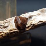 Cuarzo (variedad morión)<br /><br />8.5 x 6<br /> (Autor: Pedro Antonio)